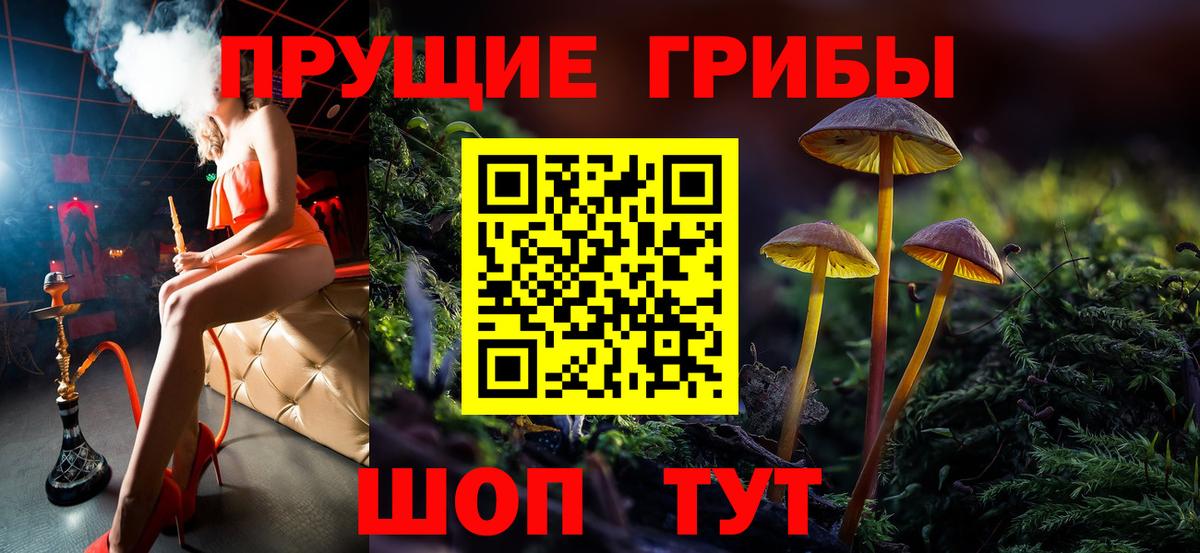 Псилоцибиновые грибы MAGIC MUSHROOMS Дятьково